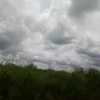 89 Plots of Land (44,500 Sqm) in Nkalagu, Ebonyi State with CofO - 5