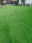 Quality Green Grass Carpet - 2