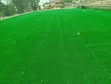 Artificial Grass Carpet - Sabon Samfuri - 2