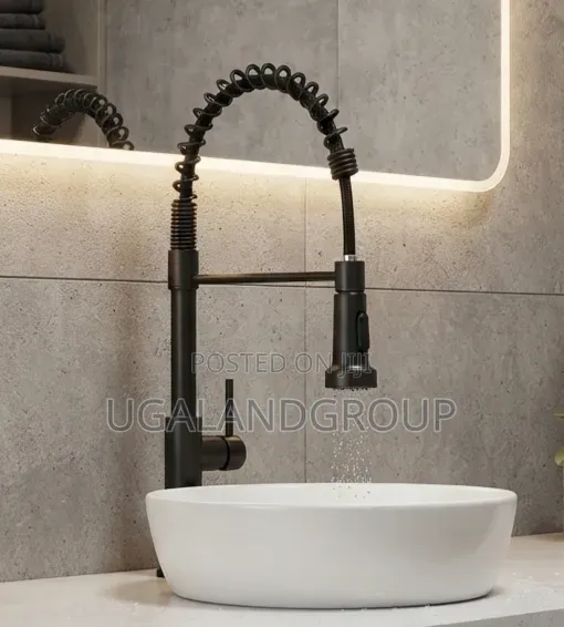 Master Modern Black Pull Down Faucet - 1