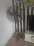 OX Fan Mai Tsaye Mai Girman Inci 25 Mara Haske - 2