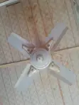 Fantech Short Blade Ceiling Fan (Used) - 2