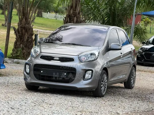 Kia Picanto 2010 Gray - 1
