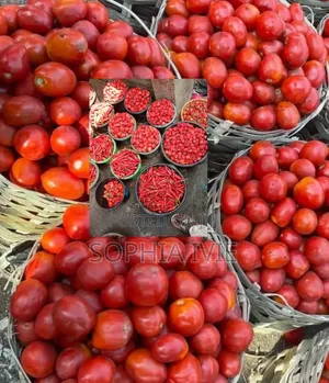 Jos Tomatoes - Full Basket (5 Paint)