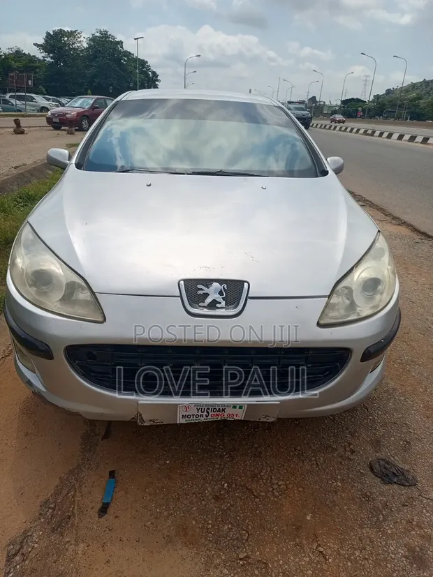 Peugeot 407 2007 Silver - 1