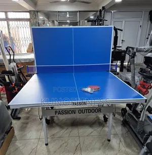Wurin Wasa Kwallon Kwallon Kwando na Waje na Alumini na Alumini mai Ninka tare da Net, Paddles, Balloli