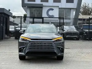 Sabo Lexus TX 350 Luxury 2026 - Grey