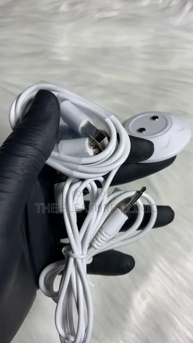 Vibrator Charger (Rose, Pin, Magnetic) - 1