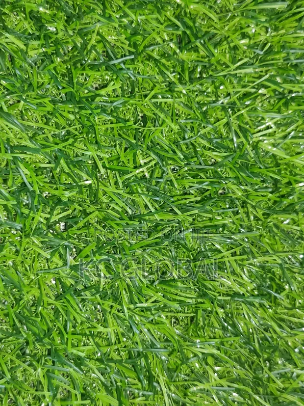 Turkey Quality Artificial Grass - 1