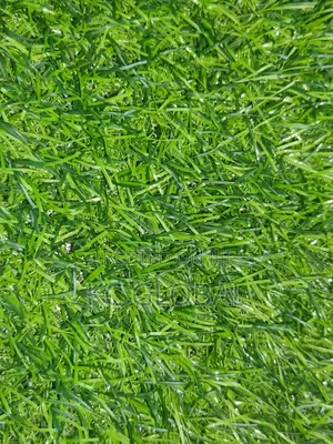 Turkey Quality Artificial Grass