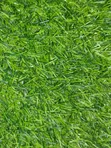 Turkey Quality Artificial Grass - 1