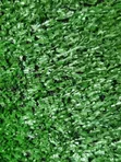 Turkey Quality Artificial Grass - 3