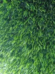 Turkey Quality Artificial Grass - 4