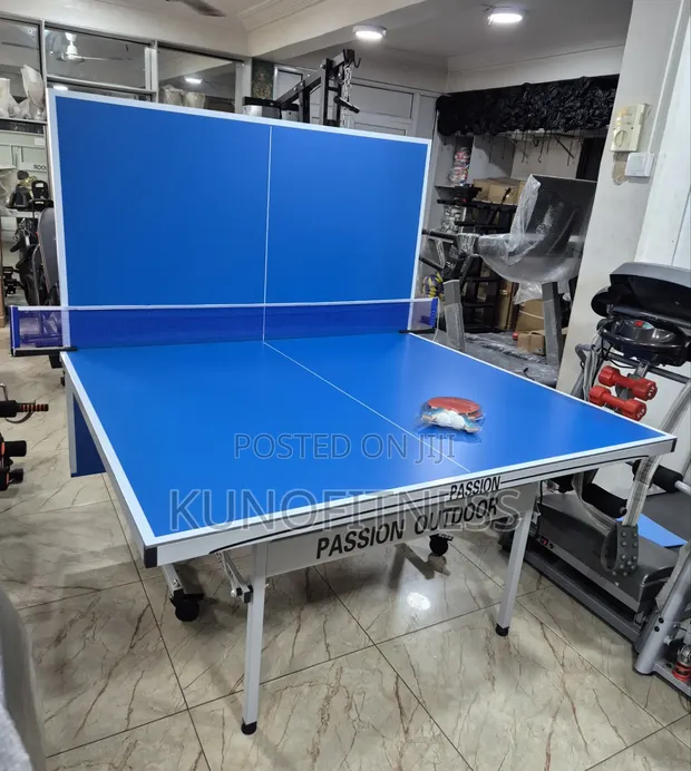 Premium Outdoor Aluminium Table Tennis Table + Net - 1