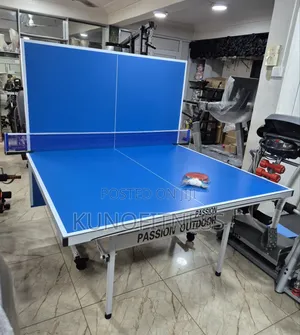 Premium Outdoor Aluminium Table Tennis Table + Net