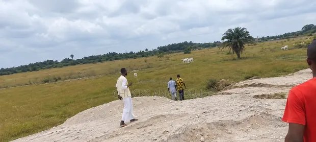 50 Hectares Lagos/Calabar Coastal Road Land - 1