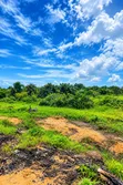 50 Hectares Lagos/Calabar Coastal Road Land - 2