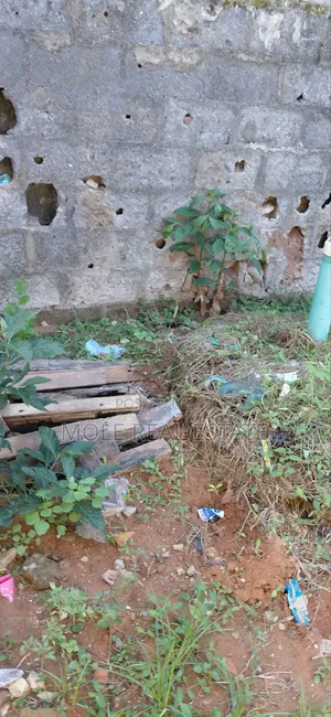 Filin 4000sqm (6.5 Plots) A Titin Kwalejin Ogba, Ikeja, Legas