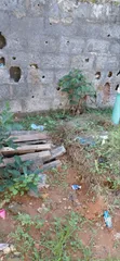 4000sqm (6.5 Plots) Land Off College Rd, Ogba, Ikeja, Lagos - 1