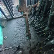 Steering Rack Toyota Camry 2013 - 5