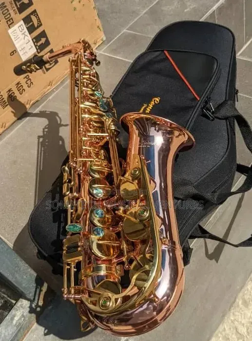 Professional Alto Saxophone - Brand New - 1