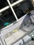 Graco Imported Cot with Storage & Mosquito Net - 2