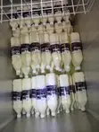 Fresh Camel Milk Vendor in Lagos - 1