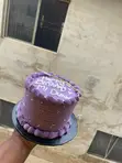Bento Cakes - Inch 5 - 2
