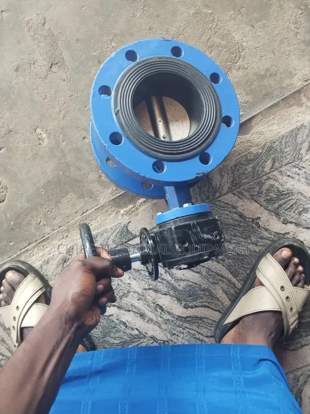 4" Gear-Operated Flanged Butterfly Valve - 1