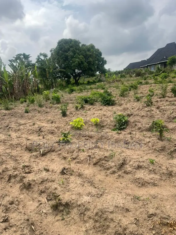 500sqm Land for Sale in Ologuneru, Ibadan - 1