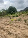 500sqm Land for Sale in Ologuneru, Ibadan - 1
