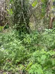 500sqm Land for Sale in Ologuneru, Ibadan - 3