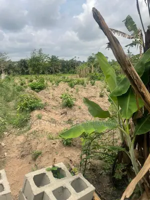 500sqm Land for Sale in Ologuneru, Ibadan