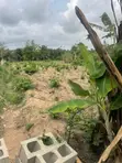 500sqm Land for Sale in Ologuneru, Ibadan - 4