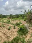 500sqm Land for Sale in Ologuneru, Ibadan - 5