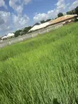 Residential Land for Sale in Nyanya, Abuja - 1