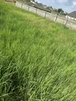 Residential Land for Sale in Nyanya, Abuja - 5