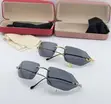 Luxury Rimless Sunglasses with Animal Motif - 3