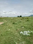 Filin Estate 250 SQM a Kuje - 1