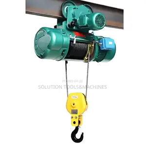 Electric Wire Hoist 5 Ton