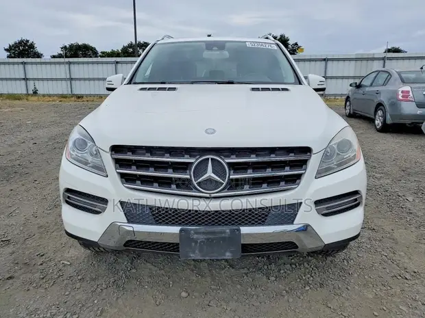 2015 Mercedes-Benz M Class White - 1