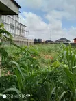 Standard Full Plot in Governor's Road, Ikotun Lagos - 5