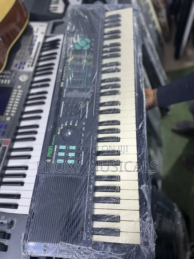 Professional 61-Key Portable Electronic Piano Keyboard - 1