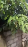 Filin 50x110 Mai Shinge, Tsohuwar Hanyar Mataimakin Gwamna, Asaba - 3