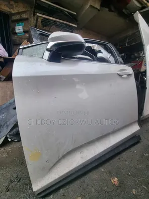 Lexus RX 350 2017/2019 Left Front & Rear Doors (Used)