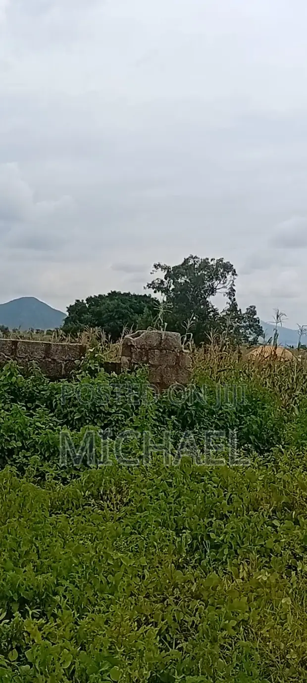 Affordable Premium Land in Abuja with Cof O, 1004sqm - 1