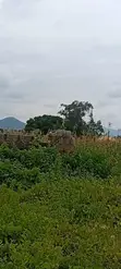 Affordable Premium Land in Abuja with Cof O, 1004sqm - 1