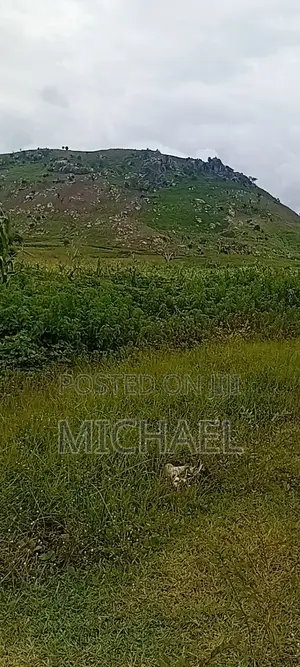 Affordable Premium Land in Abuja with Cof O, 1004sqm