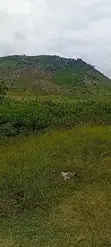 Affordable Premium Land in Abuja with Cof O, 1004sqm - 2
