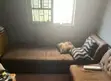 Large L-Shape Couch with 3 Pillows - 2